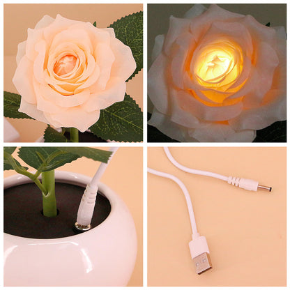 Naimo Flower Night Light Rechargeable LED Night Lamp Rose Table Lamp for Bedroom Living Room Birthday Party Desktop Home Decor