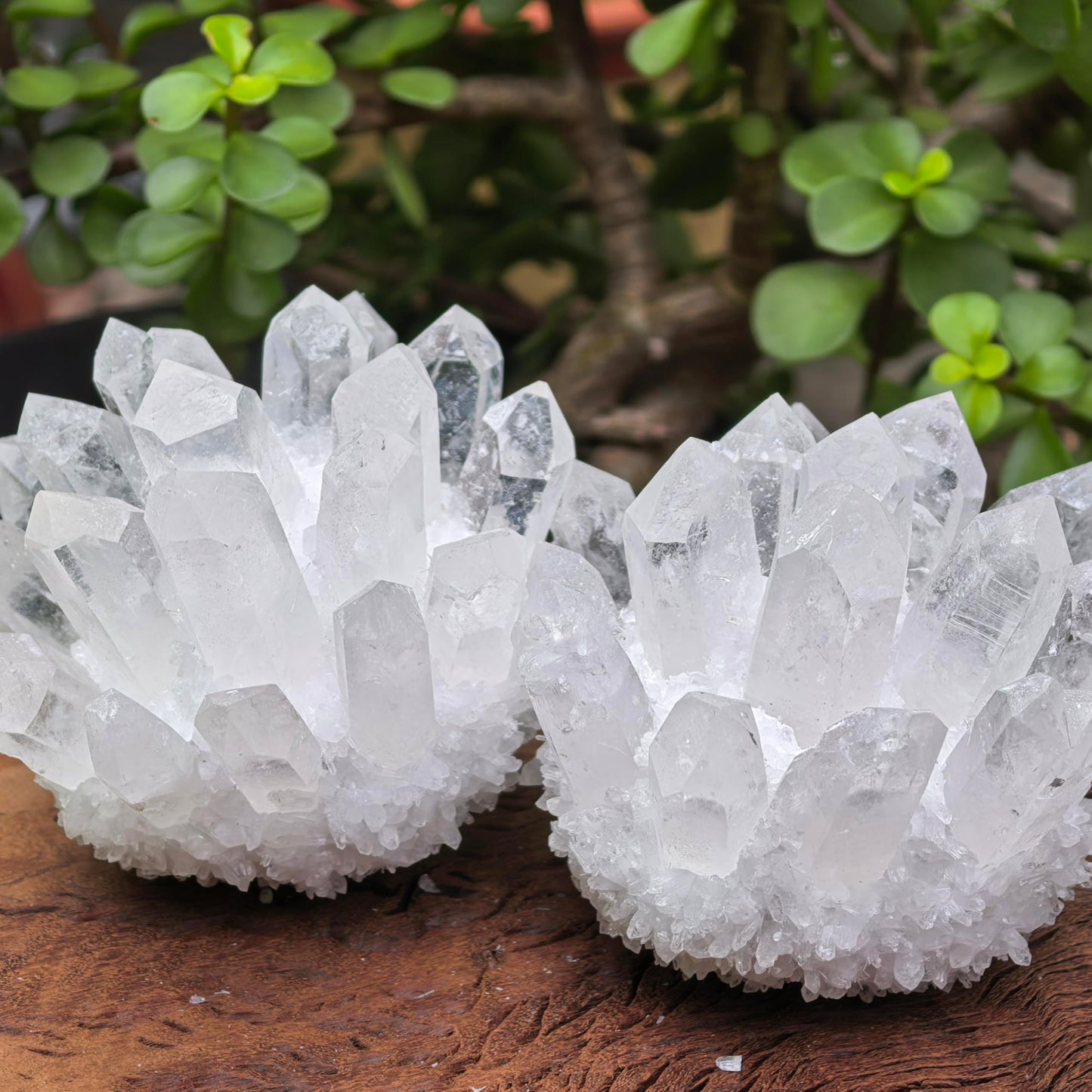 Natural Crystal Cluster Quartz Carved Crystal Sculpture Reiki Healing Stone Home Decor Mineral Specimen Crystal Gift Collection (white crystal)