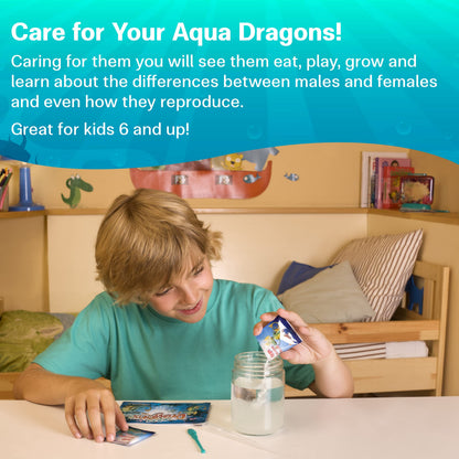 Aqua Dragons Underwater World Aquarium