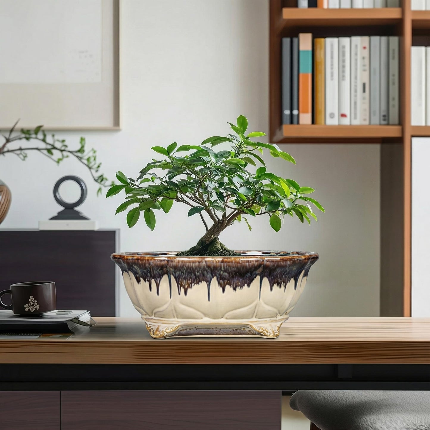 Teagas Ceramic Bonsai Tree Pots - 11 Inch Succulent Pots with Drainage Hole, Decorative Bonsai Pot for Indoor Outdoor Plants, Succulent Planters, Front Porch Decor, Gardening Gifts, Oval Beige-Brown