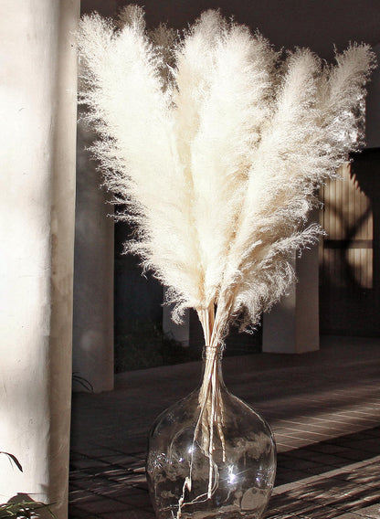 Bannifll 46 Inch 10 Stems White Pampas Grass Decor Tall, Dried Plants, Natural Dried Flowers for Wedding, Natural Home Decor, Wall Grass, Glam Decor
