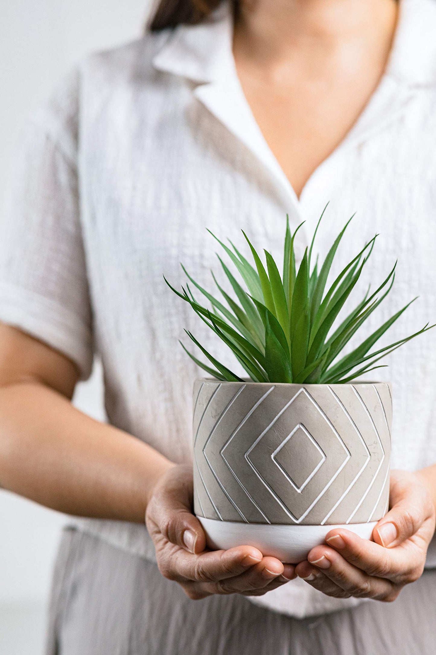 Kurrajong Farmhouse 8" high Artificial Plant in Pot - Small Faux Plant for Desk, Bathroom, Shelf & Coffee Table - Realistic Fake Plant for Home Decor