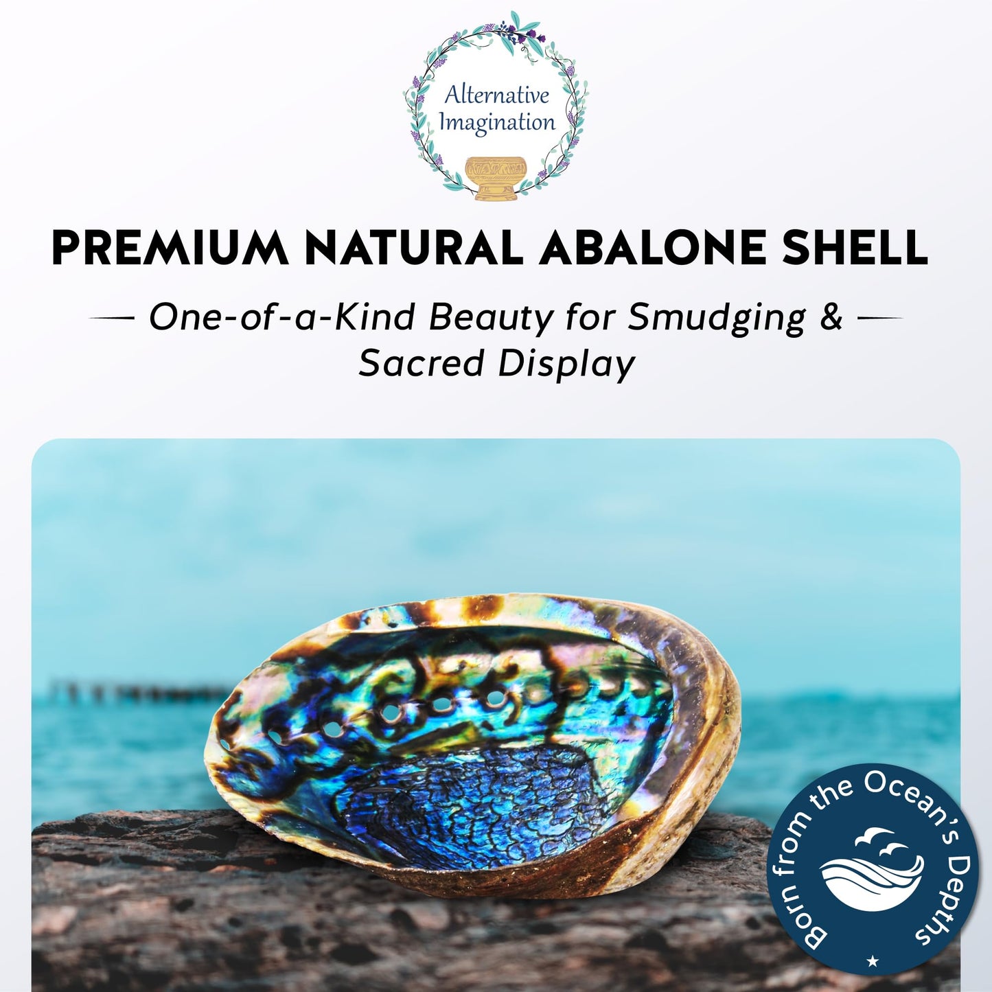 Alternative Imagination Hand Selected Abalone Shell - 6 Inches or Larger - Polished Mother-of-Pearl Interior - Flame-Proof Dish for Incense, Smudge Sticks, Trinkets, Crystal Display & Home Decor