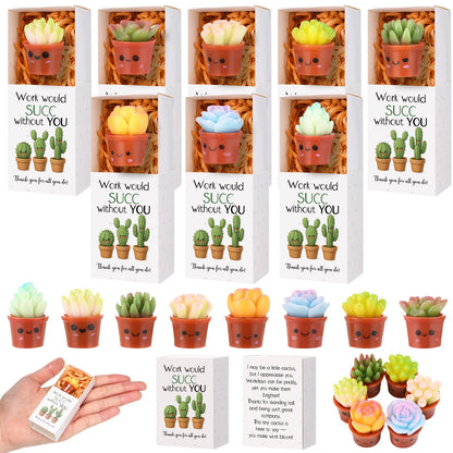 Jenaai Succulent Thank You Gift Bulk Positive for Teacher Nurse Employee Coworker Resin Cute Succulent Gifts Small Cactus Pocket Desk Favors with Positive Pun Boxes for Team Staff
