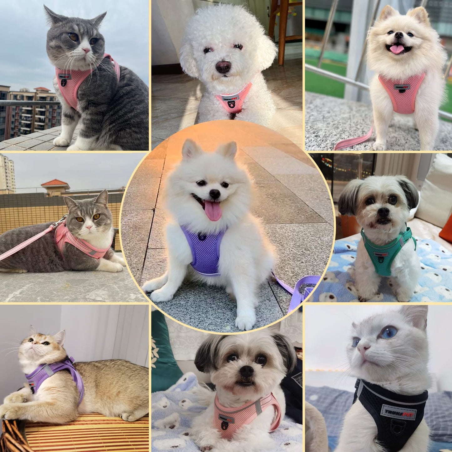 TRUKSPET Dog Harness and Leash Set, Step in no Pull Dog Harness Adjustable Reflective Padded Mesh Fabric Dog Vest for Extra-Small/Small Medium Dogs and Cats-XS-Pink
