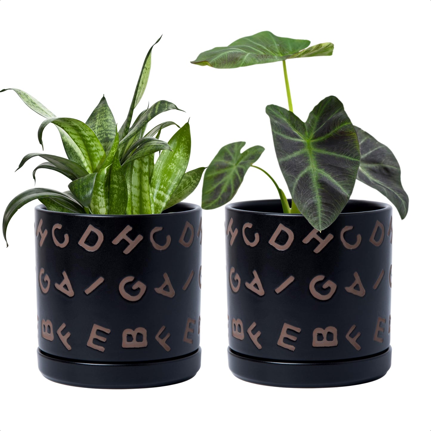 D'vine Dev Set of 2 Ceramic Planter Pots with Drainage Hole and Saucer, 6 Inch Plant Pots for Plants Indoor Houseplants, Black, 99-Z-G-2-Y