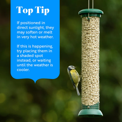 RSPB Buggy Nibble Treats, 550g, This Nibbles are like Hot Cakes to Wild Birds, A Delicacy that Few Birds Can Resist, Made with Mealworms, Premium UK Suet & Cereal. Supporting the RSPB