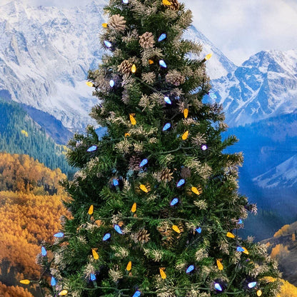 Novelty Lights 24FT 70 LED C6 Christmas String Lights, Outdoor Tree Commercial Grade Permanent Decorations (Blue/Yellow)