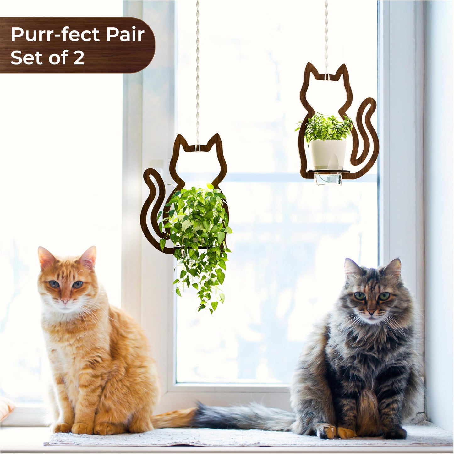 EIGEN Hanging Planters for Indoor Plants - with Self Watering Pots for Indoor Plants (Included), Comes with Macrame Plant Hanger Cord, Cat Decor Planters with Plant Pots (2 Set)