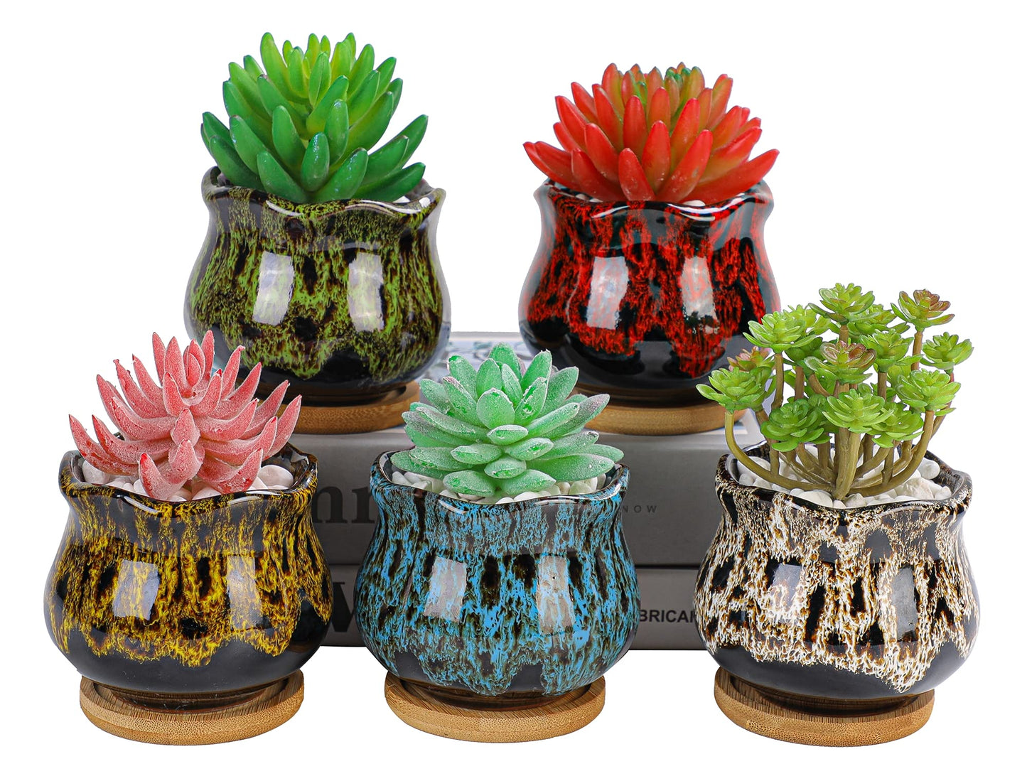 LamDawn Cute Ceramic Succulent Garden Pots, Planter with Drainage and Attached Saucer, Set of 5 -Plants Not Included (Fambe)