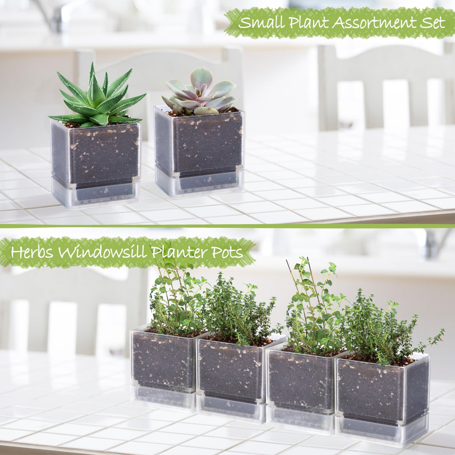 D'vine Dev 4 Inch Herb Planter Pots, Acrylic Planter with Drainage Holes and Saucer, Modern Decorative Gardening Pot for Indoor Plants, Herbs, Succulents, Clear, Set of 4, 76-Y-D-4