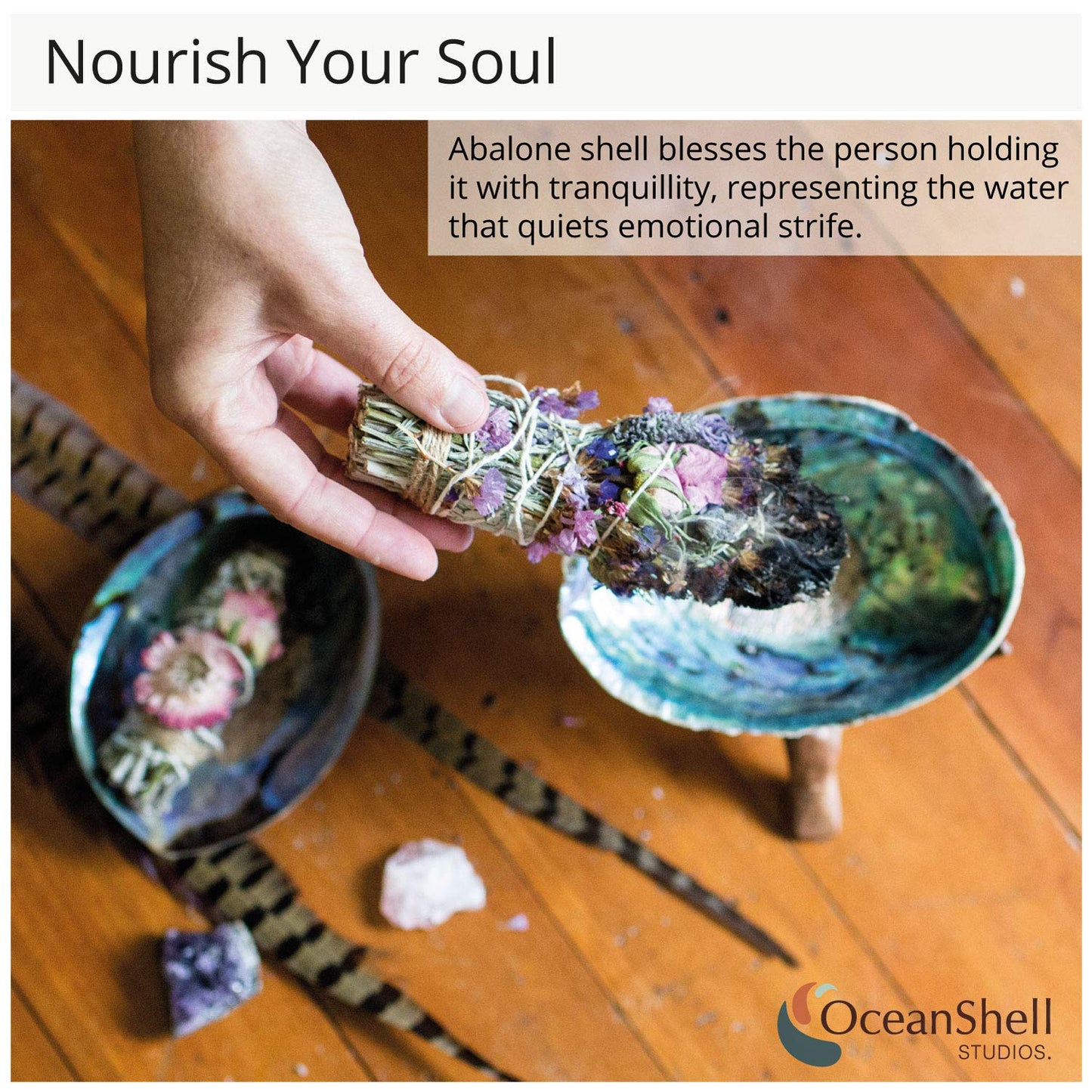 Natural Abalone (Pāua) Shell, with Stand,6-6.5 Inches,Supreme for Smudging,Cleansing Home,Meditation,Shell Crafts,Incense Holder,100% Natural, Sustainably Sourced by Ocean Shell Studios NZ