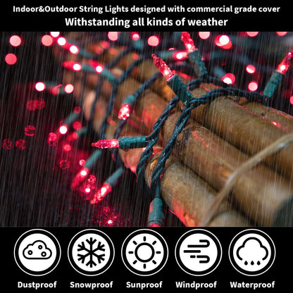 LAMPHOME Pink Christmas String Lights, 100 Count 19.6 FT Mini Valentine's Lights, Waterproof Pink Lights for Indoor Valentine's Day Garland Wedding Party Festival Xmas Tree Decoration