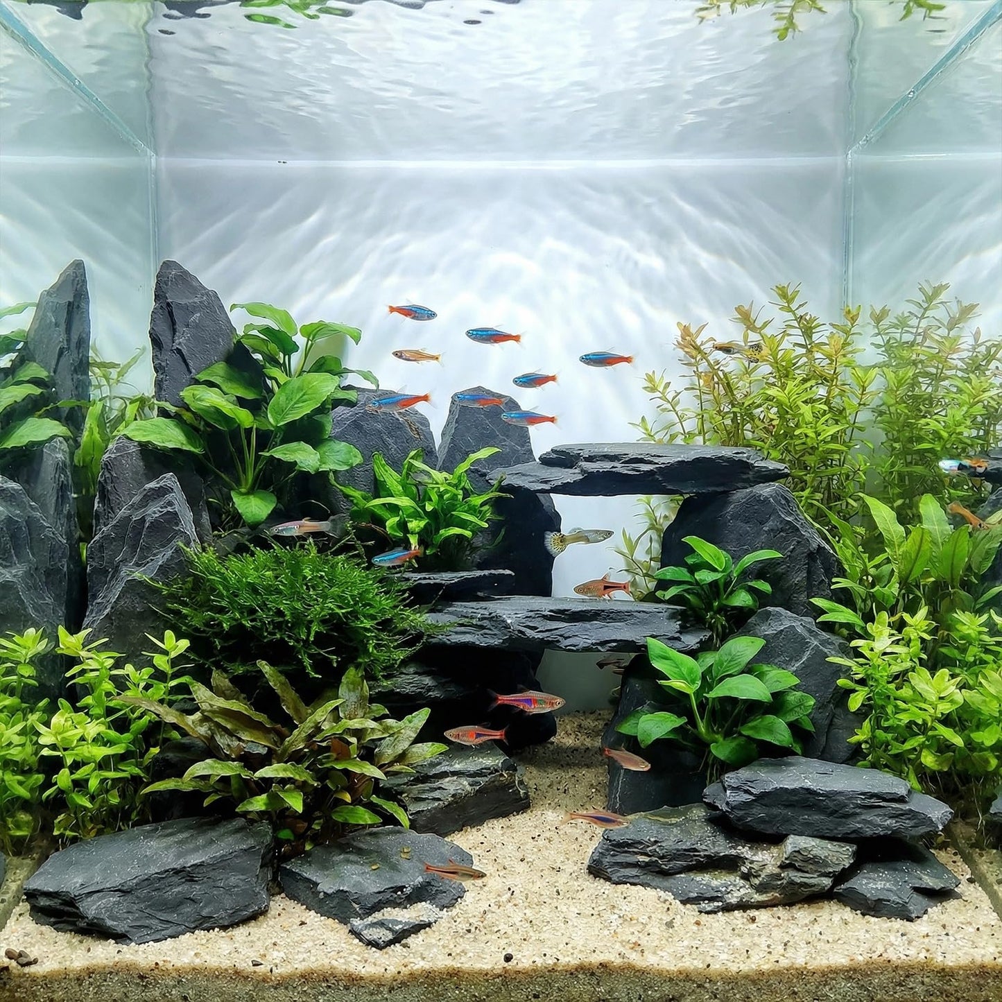 YISZM Slate Rock for Aquarium, 3-5 Inch Polished Natural Stone Rocks, Fish Tank Decor, Aquascaping Rocks, Safe for Aquariums, Terrariums, 5 lbs