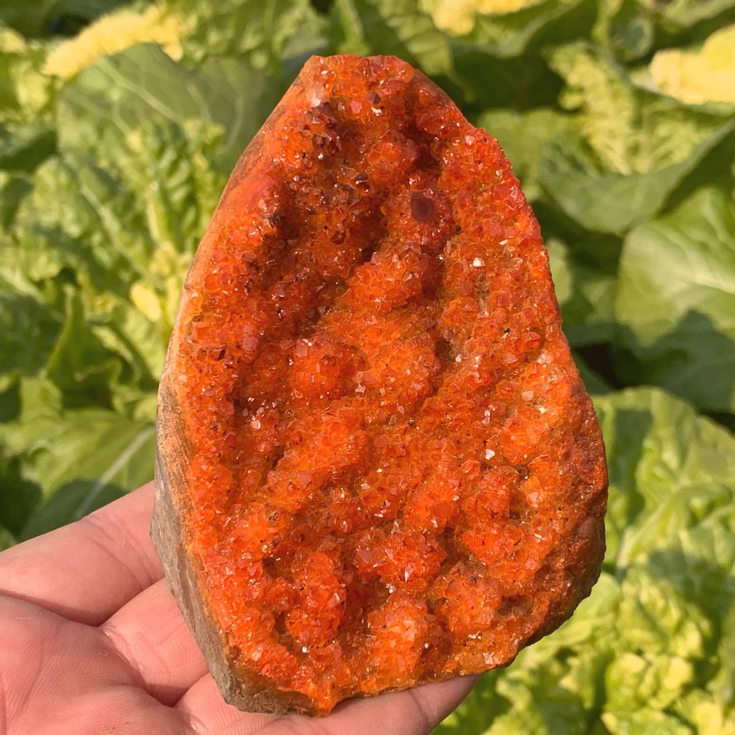 CrystalHola Raw Orange Geode Quartz Cluster 200-300g - Natural Crystal Decorative Stone for Home & Office Decor, Healing Ornaments & Spiritual Gifts, About 2-3 inch, 7-10.5 oz