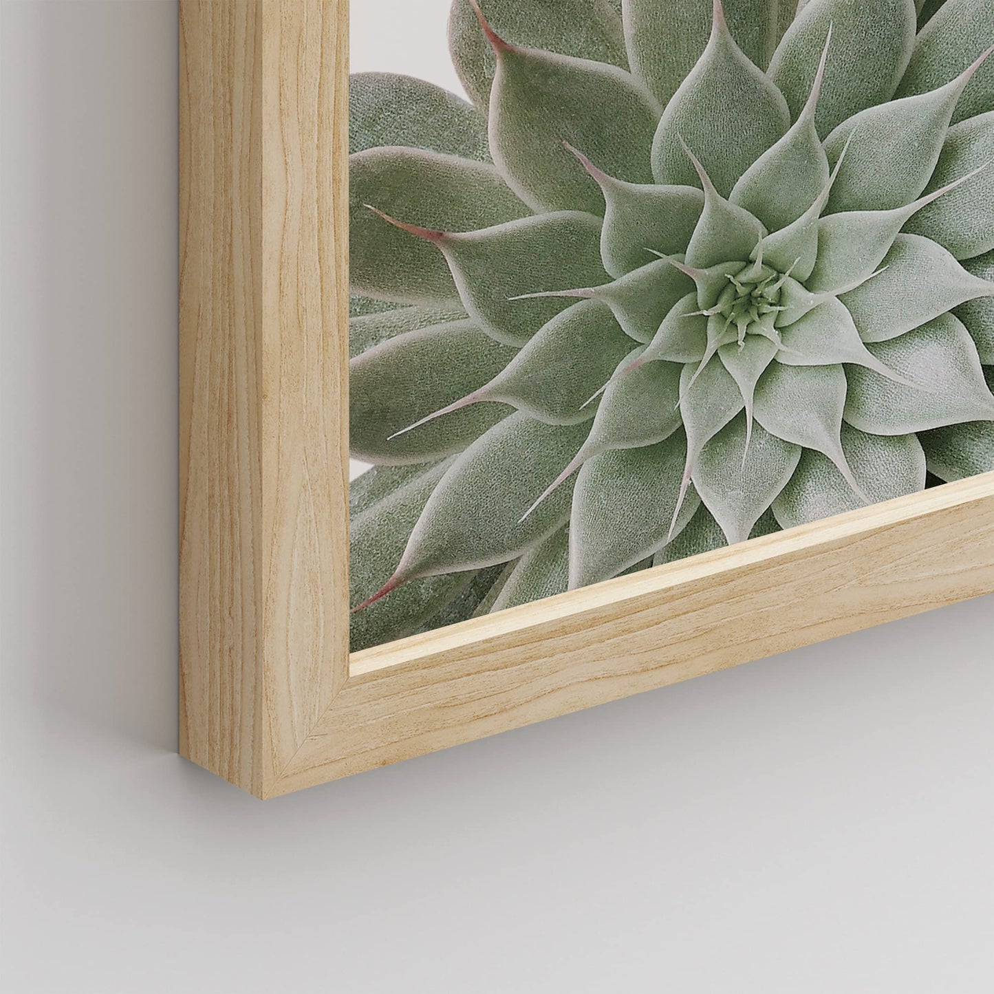 SIGNWIN Framed Desert Succulent Wall Art, Close Up Echeveria Green Flower Wall Decor Prints, Nature Wilderness Wall Décor for Living Room, Bedroom - 12"x16" Natural