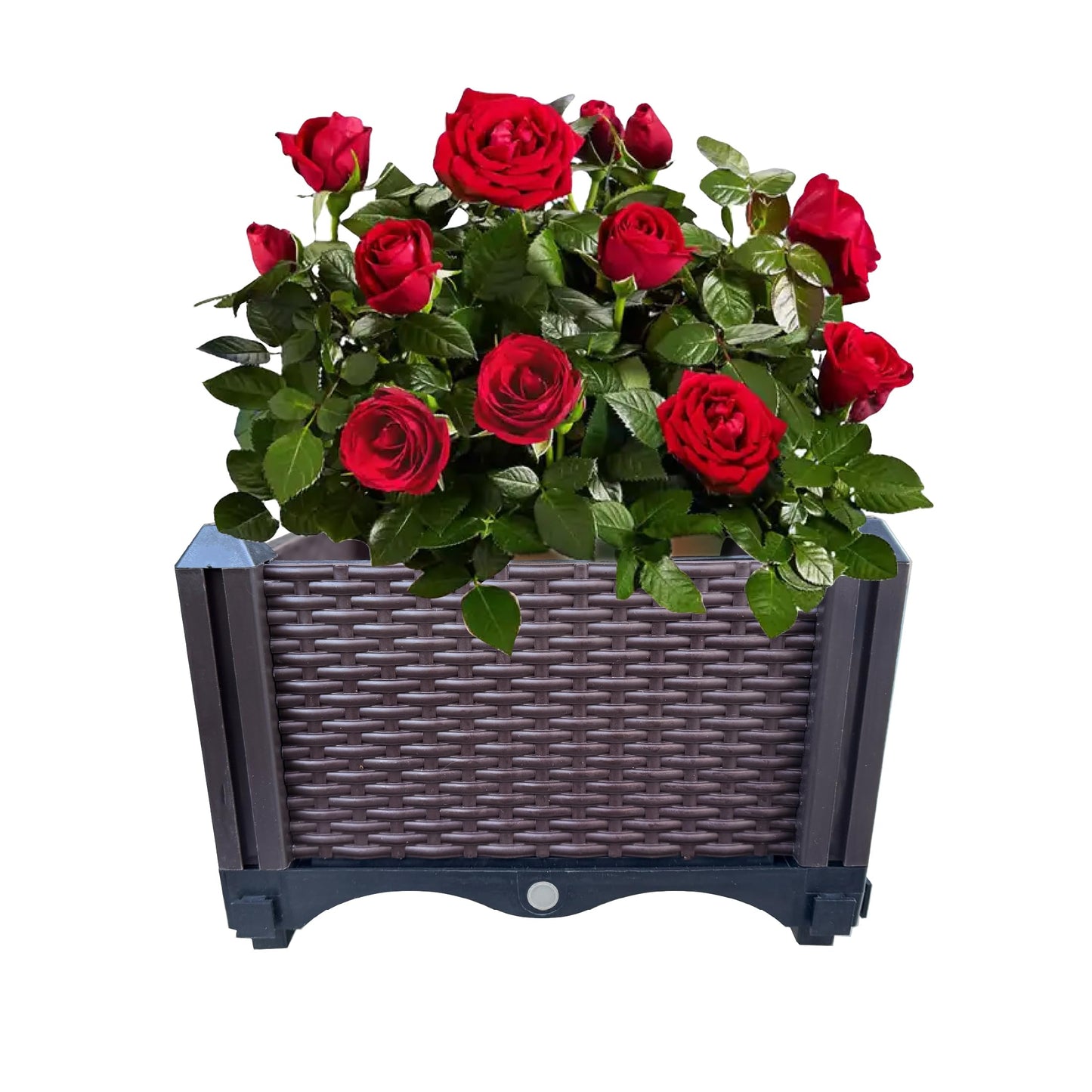 Trenton Gifts Raised Planter Box. Brown. Great for Outdoor Plants & Flowers