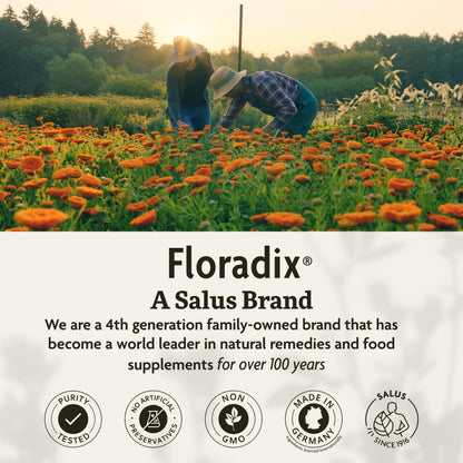 Salus Floradix Magnesium Liquid Mineral Supplement 250ml