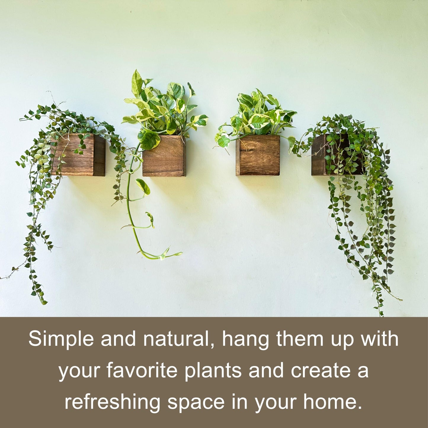 LaLaGreen Wood Planter Boxes for Plants (4x4 Inch, 8 Pack) Small Square Wall Mounted Planters for Indoor Plant, Herb Wooden Box Hanging Flower Pot Plant Holder Outdoor Fence Vertical Garden Home Decor