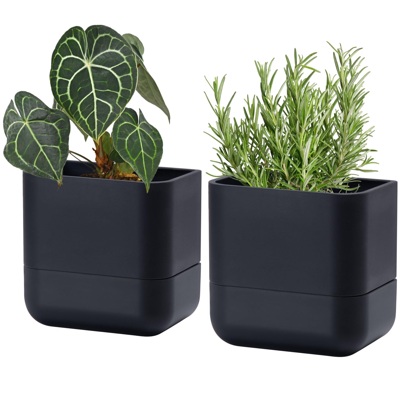 Phoenix Vine 6.5 Inch Wall Mounted Self-Watering Planter Pot for Indoor Houseplants and Herbs | Hanging Planter for Window Sills, Bathroom Walls, Home & Office Décor, Black, Set of 2, 01-C-E-2