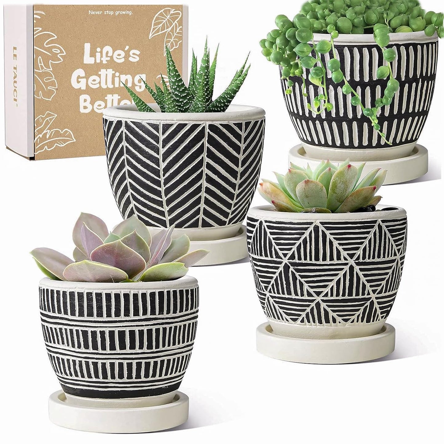 LE TAUCI 3 Inch Boho Succulent Pots, Artisanal Small Succulent Planters, Cement Small Plant Pots for Plants, Box for Mom, Women, Set of 4, Black and Cream White