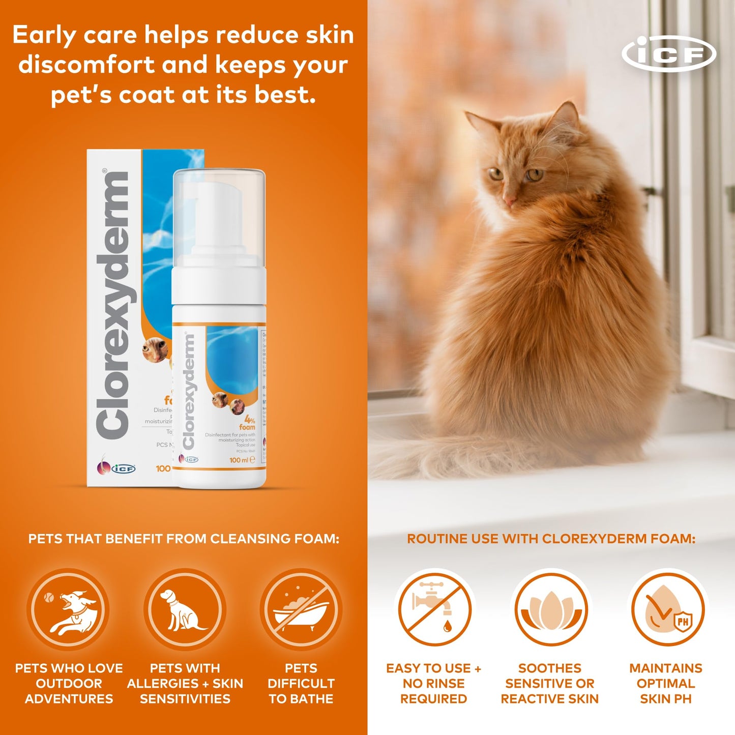 Clorexyderm 4% Foam Mousse - Dry Shampoo for Dogs & Cats - Antibacterial & Antifungal - Dry Itchy Skin Relief – Moisturises, Soothes & Softens Skin & Coat - Easy Alternative to Wet Bathing - 100 ml