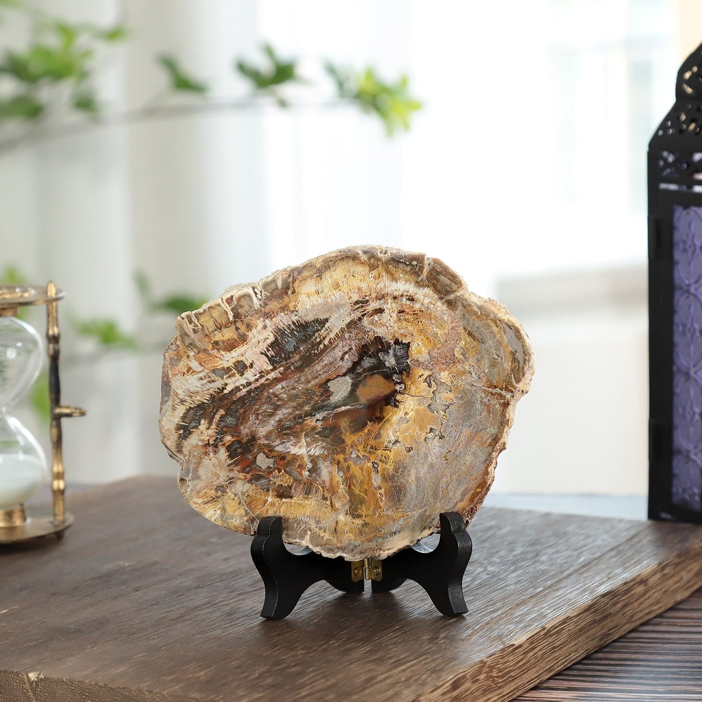 moonsix Irregular Petrified Wood Slab with Wooden Stand, Natural Mineral Stone Specimen Display for Feng Shui Decor Collection