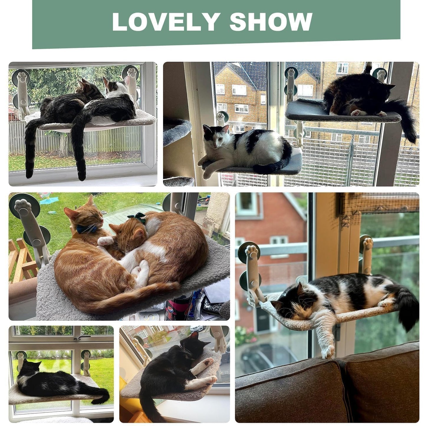 MEWOOFUN Cat Window Bed Hammock Large for 2 Cats - 60x30cm Foldable Cat Window Perch w/Reversible Mat, Upgrade Strong Suction Cups Sturdy Holds Up to 18kg, Beige
