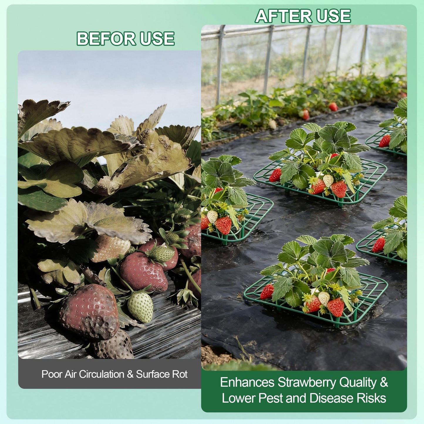 10-Packs Strawberry Plant Support, Reusable Strawberry Garden Trellis & Plant Holder-Keeps Berries Off the Ground for Pots & Backyard Raised Bed Gardens Home Gardeners