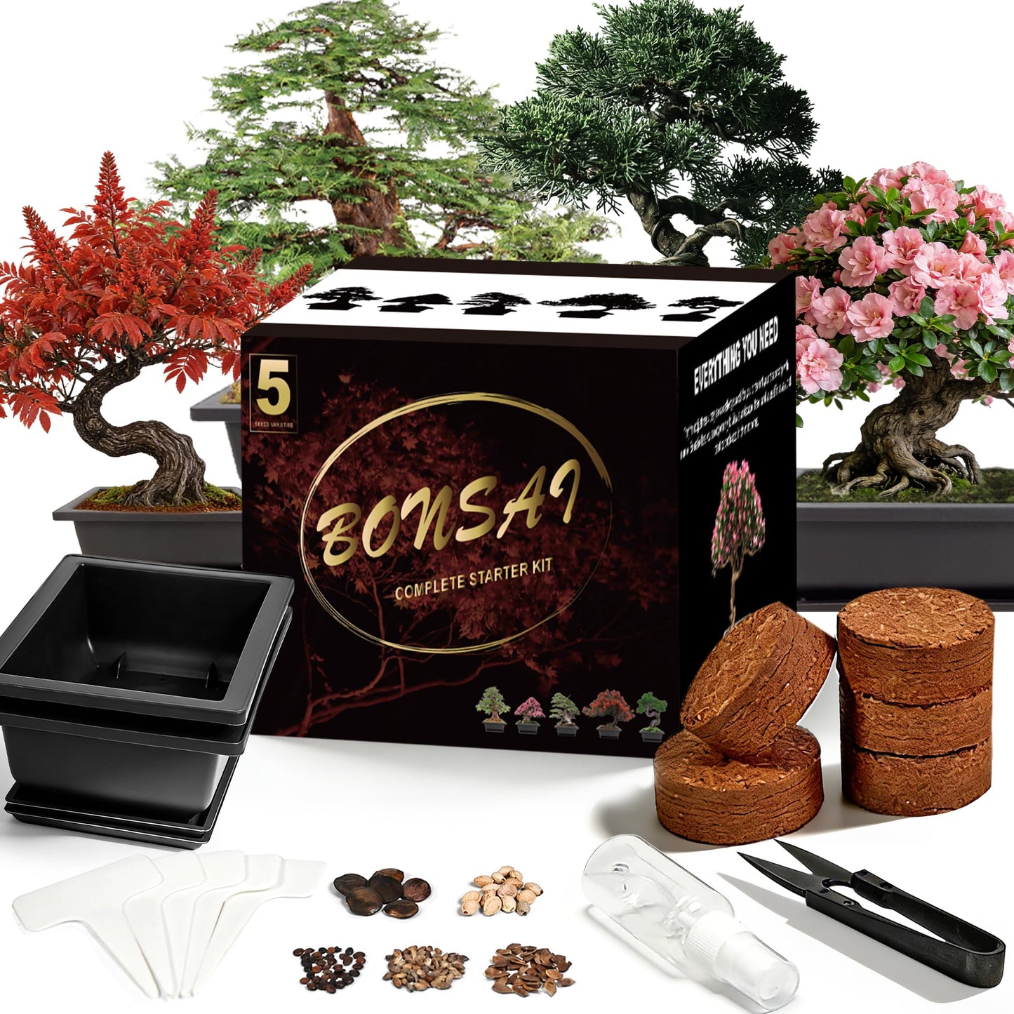 Sproutix Bonsai Starter Kit, Growing into Blue Spruce, Boxwood, Dawn Redwood, Flame Tree and Judas Tree, Including Complete Gardening Tools in A Gift Box