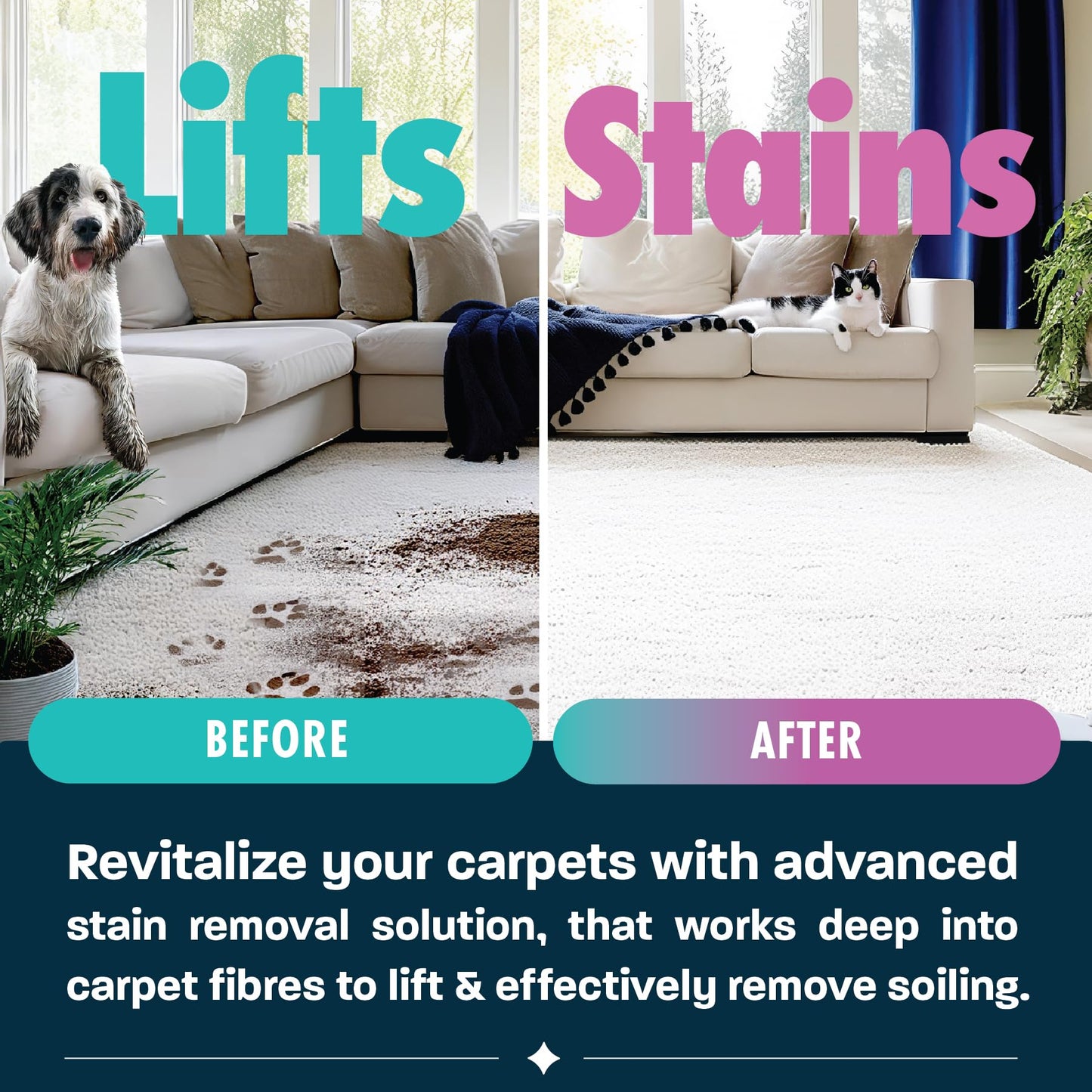 Dirtbusters Pet Pro Carpet Cleaner Shampoo Solution (5L) Deep Cleaning Stain Remover With Odour Neutraliser To Remove Dog & Cat Urine, Makes 500L Of Carpet Cleaner Solution