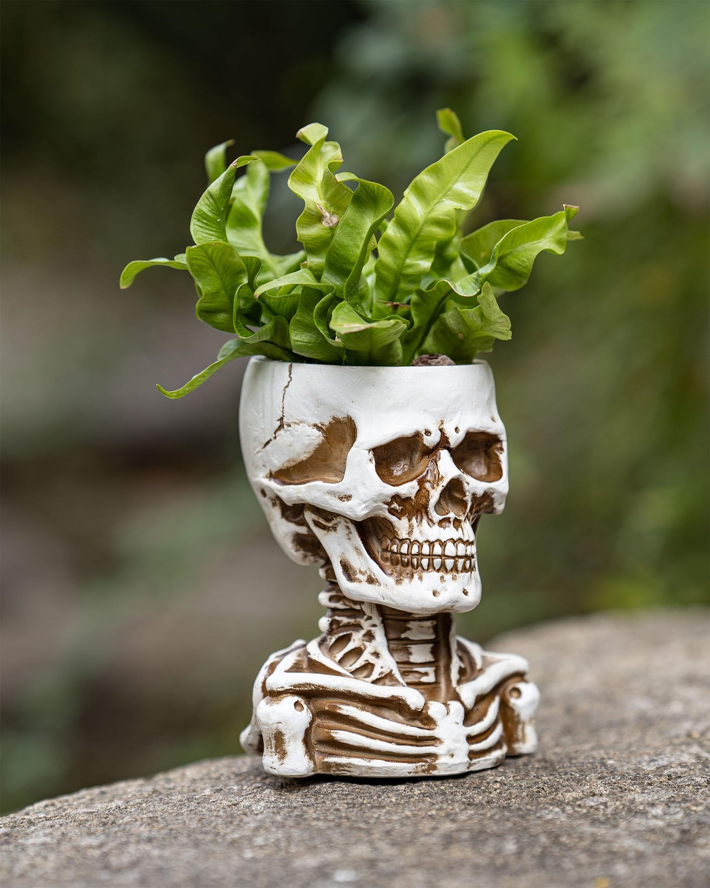 COMODID Unique Skull Decor,Skeleton Planter Spooky Face Flower Pot with Drainage Hole,Resin Skull Head Planter for Succulents, Indoor Outdoor Gothic Halloween Home Decor, Gift for Plant Lovers（White）