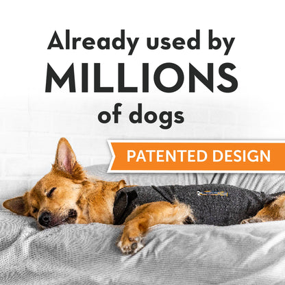 Thundershirt mens Pettorina Anti Ansia per Cani ThunderShirt Classic Dog Anxiety Jacket Heather Gray XX Small, Grey, XXS UK