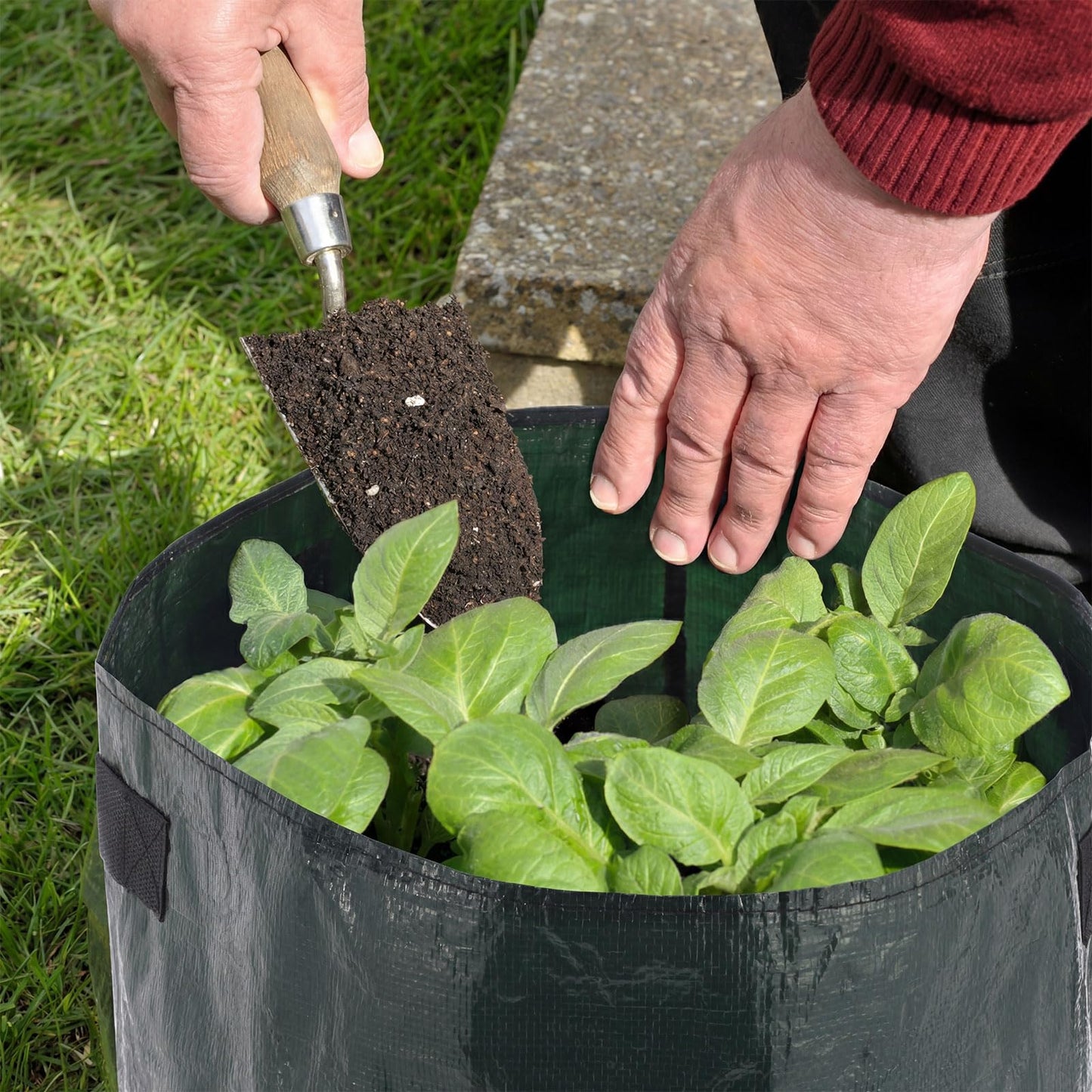 Ferrochef 8 Pack 20 Gallon Extra Potato Grow Bags with Flap Window, PE Fabric Pots with Handles for Vegetables Garden Planting Flowers Green Planter, 15.75 x 23.62 Inch