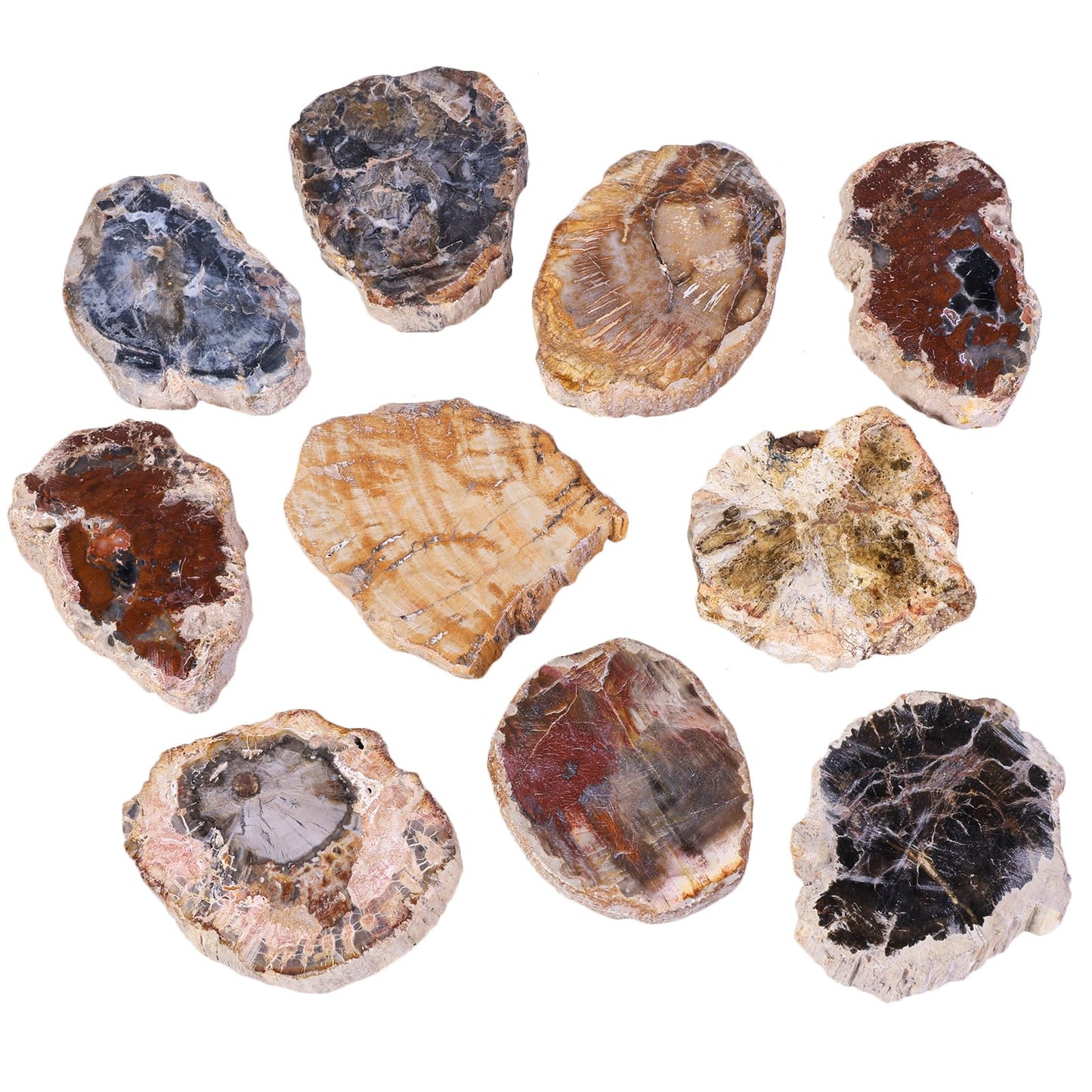 TUMBEELLUWA 5 Pcs Natural Petrified Wood Slabs Fossil Stone Slab for Boho Home Decor, Small Stone Coasters for Coffee Table Desk