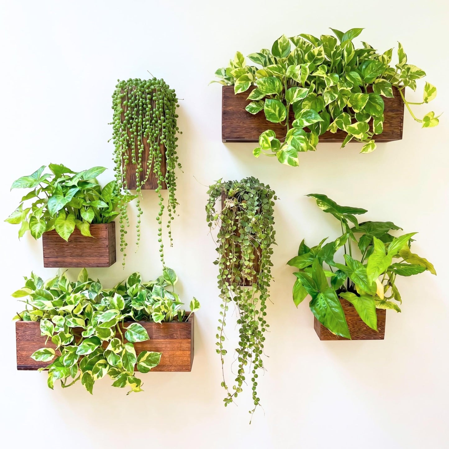 LaLaGreen Wood Planter Box for Plants (6 Pack) Wooden Hanging Wall Planters for Indoor Plant Holder Vase for Dried Flowers, Modern Farmhouse Wall Decor Living Room Bedroom Kitchen Office Home Garden