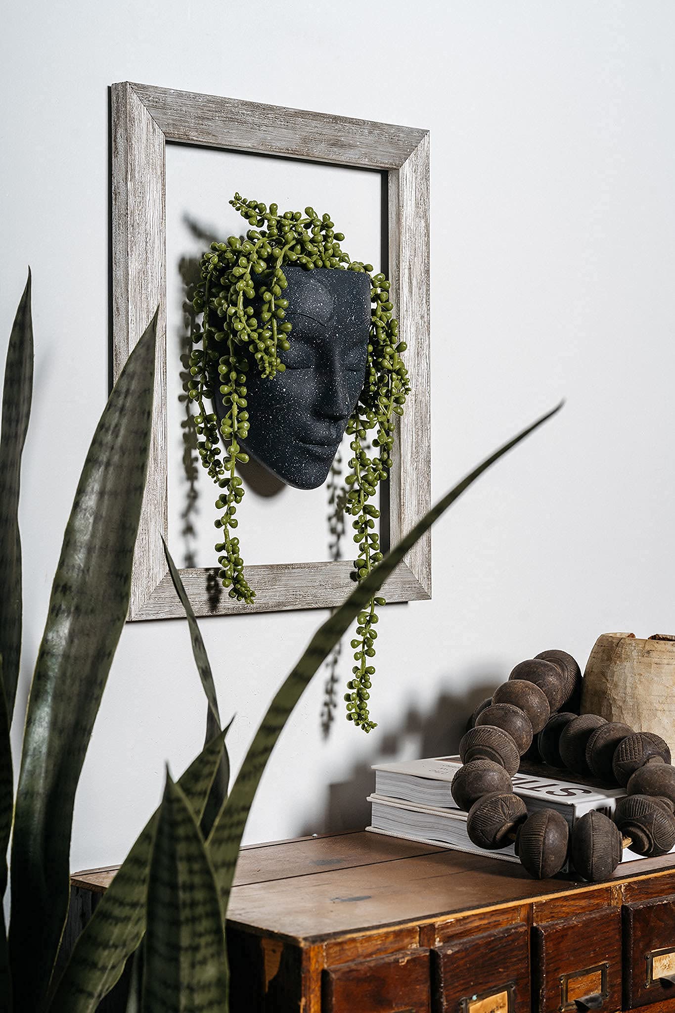 Bossa Linda Wall Planter | Unique Face Planters Pots - Plant Gifts for Indoor Plant Lovers Gift Ideas - Succulent Plant Gift - Tranquilo Black