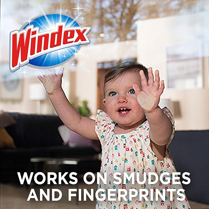 Windex Wipes Glass Cleaning Ammonia Free, Pre-Moistened Wipes