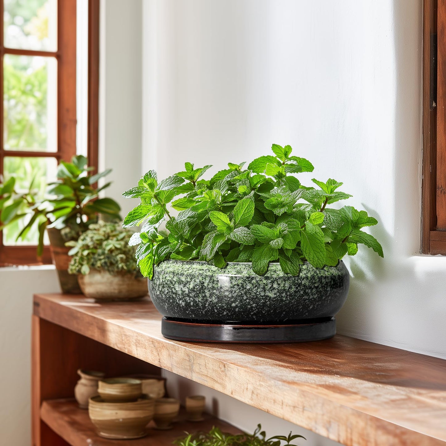 EPFamily Bonsai Pots 10 Inch - Ceramic Pots for Plants Indoor Outdoor, Succulent Pot with Drainage Hole and Saucer, Large Bonsai Planter, Round Shallow Planter, Office Decor, Gardening Gift, Green