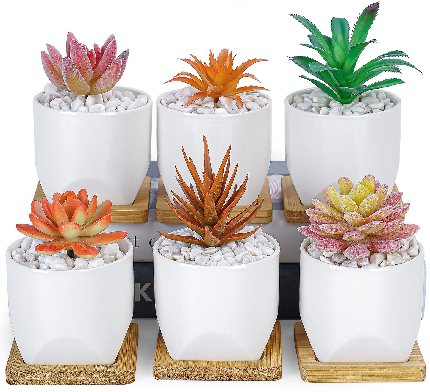 ARTKETTY Succulent Pots - 3 Inch Small Succulent Planter Pot with Drainage Trays Set of 6, Ceramic Planters for Indoor Plants Cactus Flower Plant for Home Office