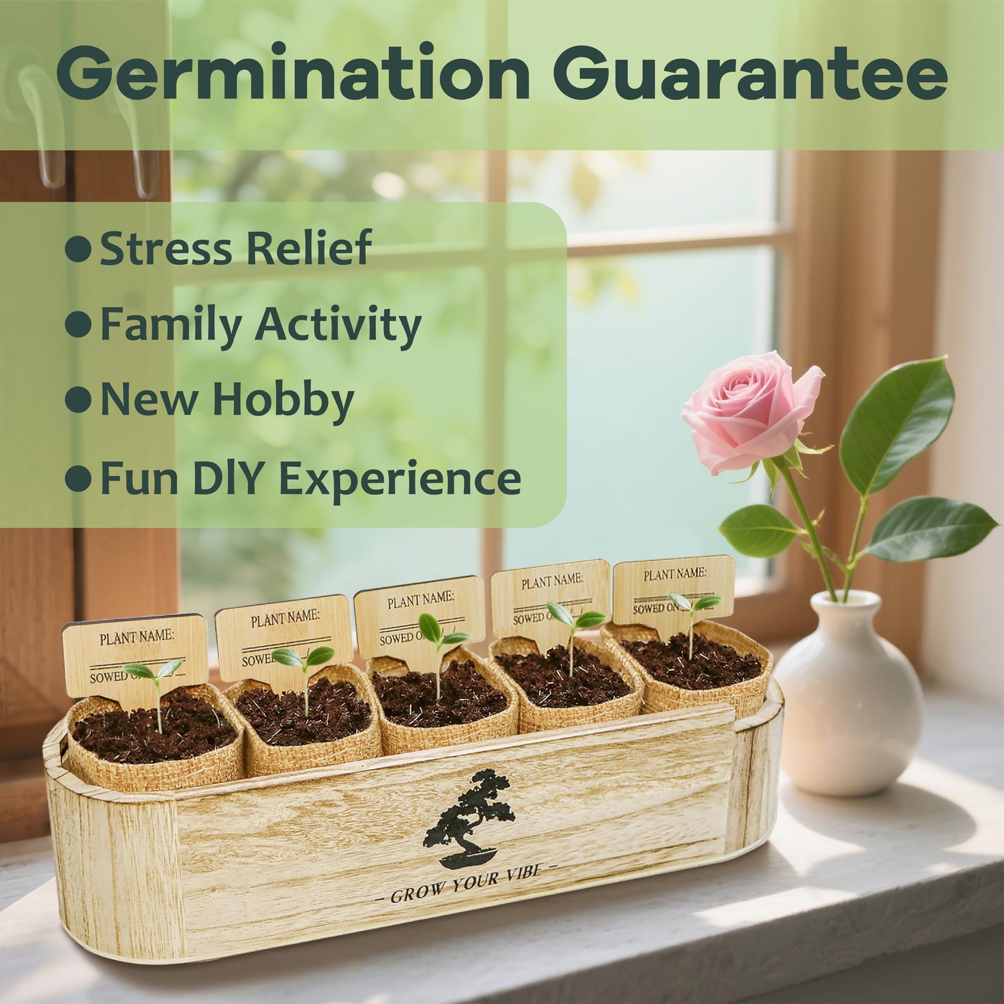 LUOJIBIE Bonsai Tree Kit for Beginners - Unique Gifts for Women, Crafts for Adults, for Women & Men,Complete Indoor Plant Kit,Easy House Plant