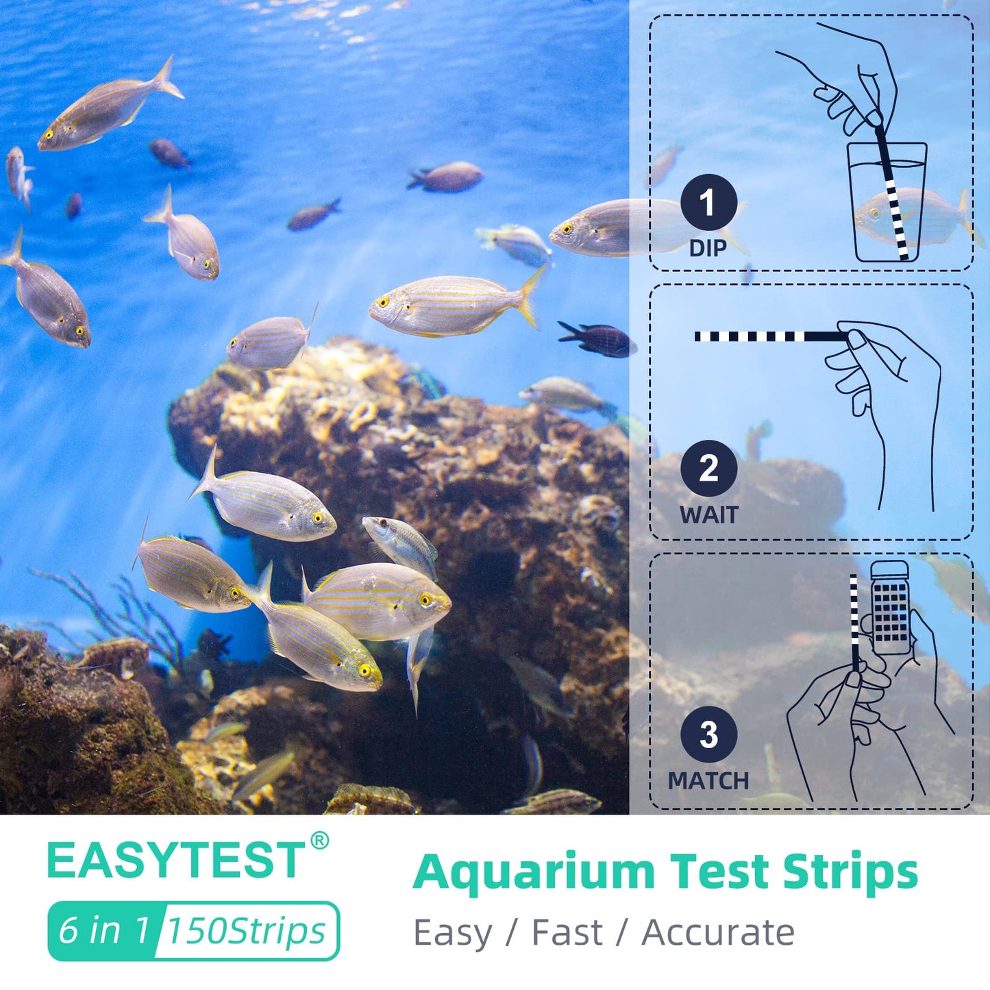 EASYTEST 6 in 1 Aquarium Test Strips, 150 Strip Pack Aquarium Water Test Kit for Freshwater, Fish Tank, Fish Pond, Accurate Testing Total Hardness, Carbonate Nitrate, Nitrite, Cl2, pH