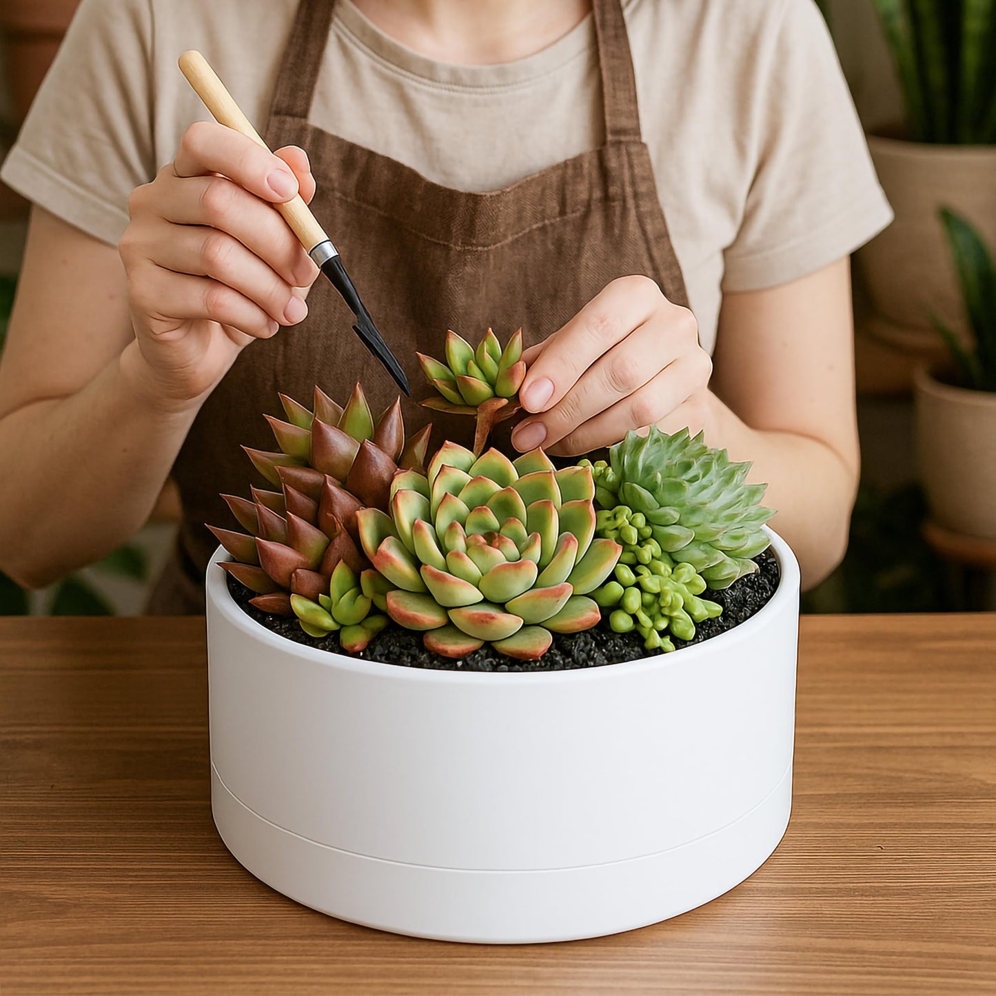 D'vine Dev 10 Inch Plastic Shallow Planter, Large Round Succulent Plant Pot with Drainage Hole and Sauce, Decorative Bonsai Pot for Indoor Plants, White, 76-Z-A-2