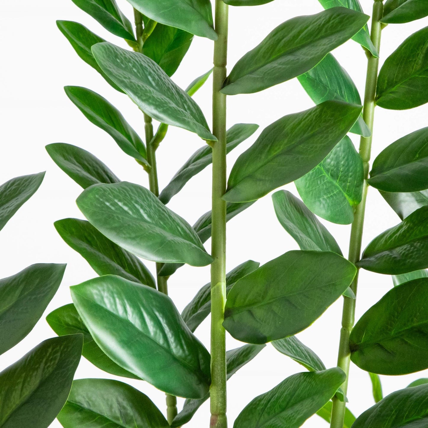 Nearly Natural 6ft Artificial Zamioculcas Plant - Realistic Faux Plant for Home Decor - Premium Materials - Bendable Branches - Year-Round Greenery - Nursery Planter Included