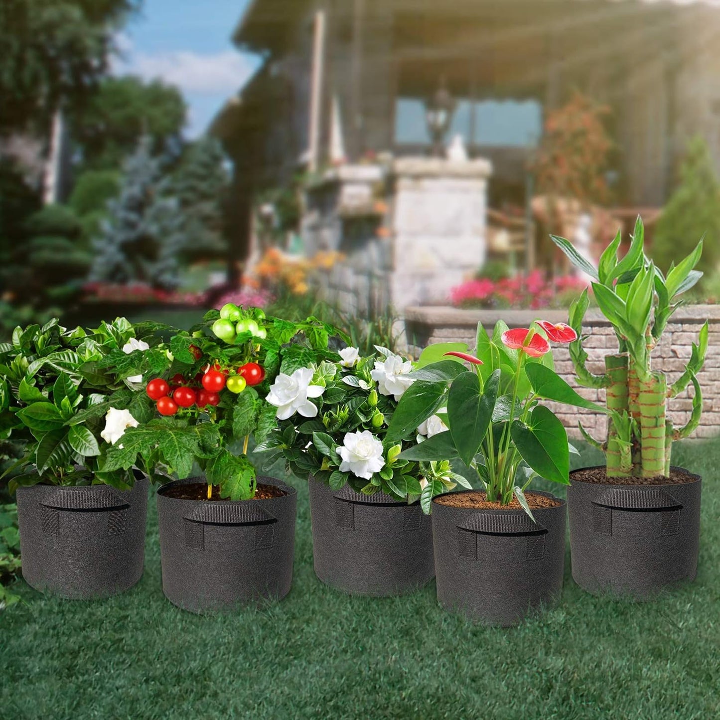 WIRETRAN 5 Pack 3 Gallon Grow Bags with Handles Garden Vegetable Flower Grow Bags Nonwoven Aeration Fabric Pots for Nursery Garden Planting
