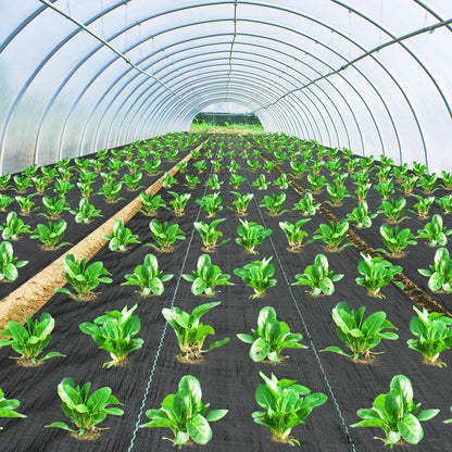 Pattiumo Weed Barrier Fabric 3x300FT Landscape Fabric 3.2oz Weed Barrier Fabric Heavy Duty for Landscaping Fabric Garden Fabric Weed Barrier Weed Blocker Garden Bed Cover, Commercial Driveway
