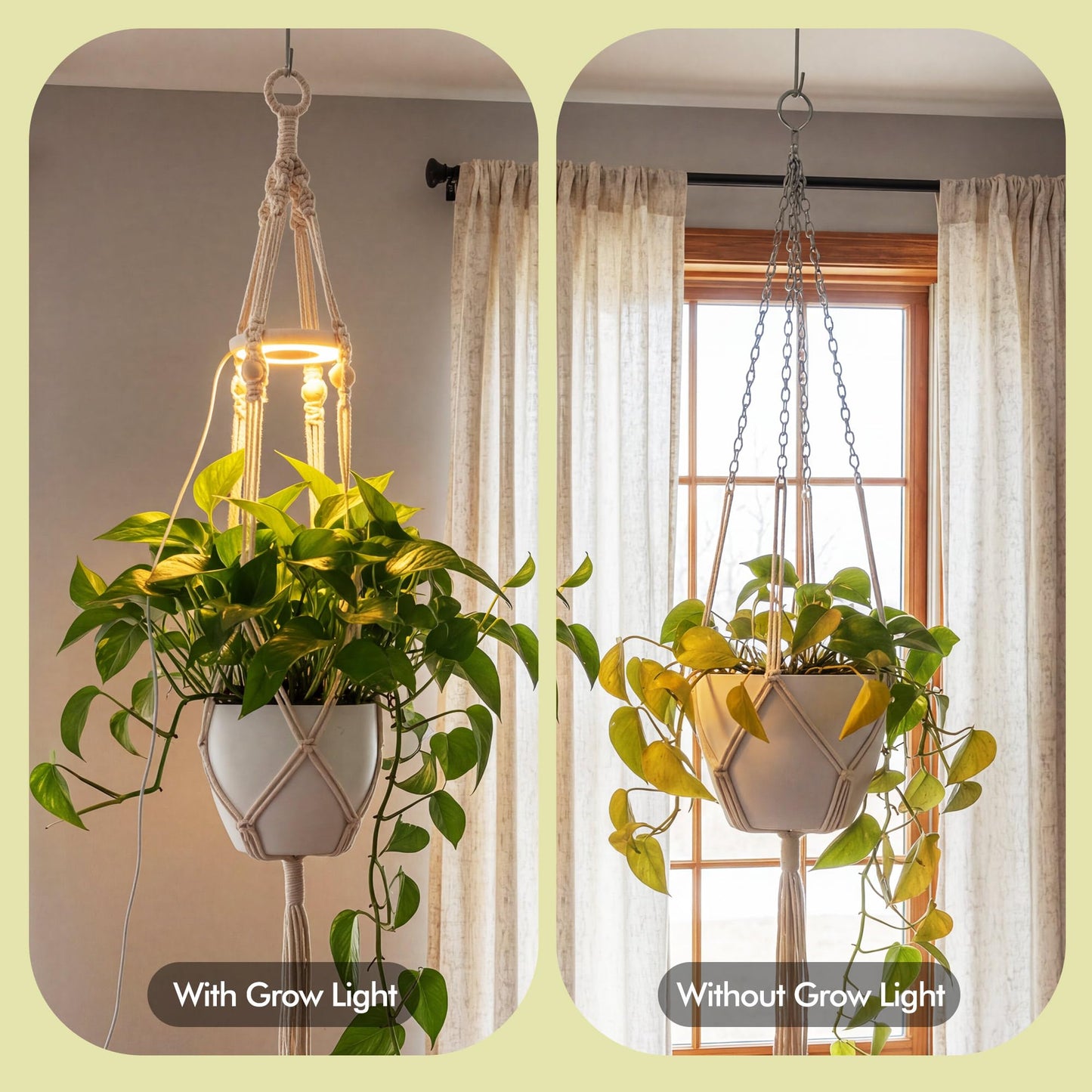 Lazukes Hanging Plant Grow Lights for Indoor Plants with Timer, Wall Mounted Full Spectrum Pendant Growing Light with Macrame Plant Hanger, Ceiling LED Planta Luz for Potted Plants Home Decor