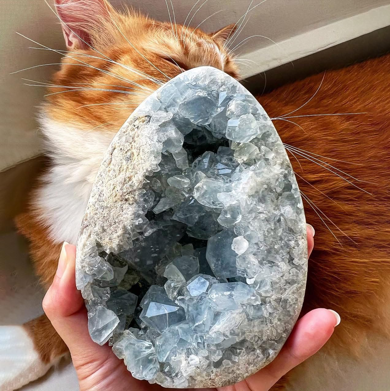 0.88-1.8lb Natural Celestine Cluster - Blue Quartz Geode for Home & Office Decor - Raw Crystal Healing Stone with Natural Formations