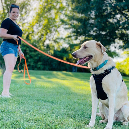 Total Pet Training Lead for Dogs, Waterproof Long Line for Recall & Obedience Training - Extra Long Dog Lead - Suitable for all Sized Dogs (10m, Regular Clip)
