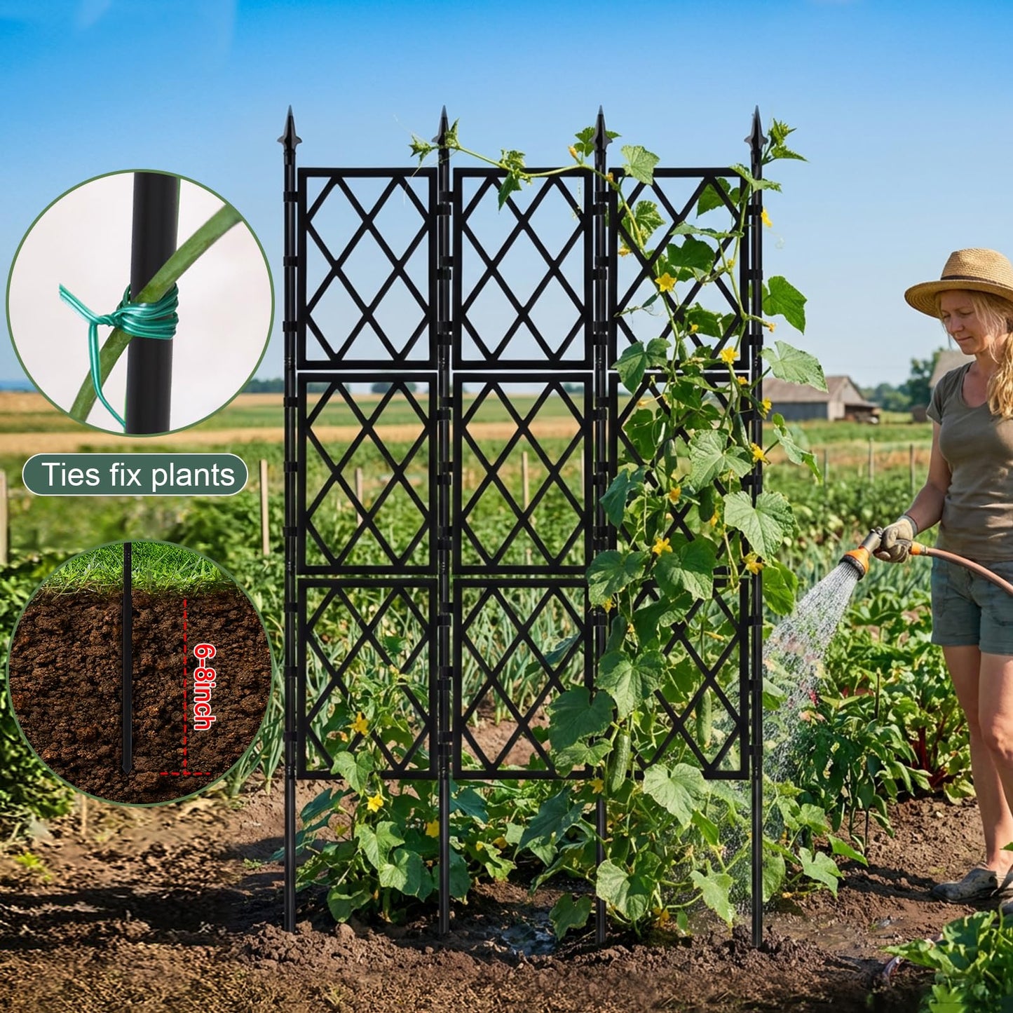 5.25FT Garden Trellis Support Fence,Metal Wall Lattice Climbing Frame for Climbing Plants Outdoor, Black Iron Pipe Fence for Potted Plants Indoor for Ivy Vines Vegetable Flower, Patio, Lawn, Yard
